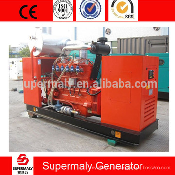 Green power silent Natural gas generator set 25kva